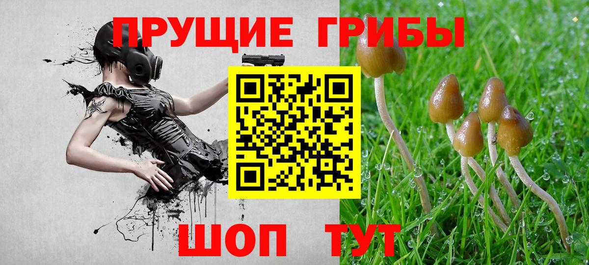 Галлюциногенные грибы мухоморы  Вход с VPN  Буйнакск  Псилоцибиновые грибы мухоморы 