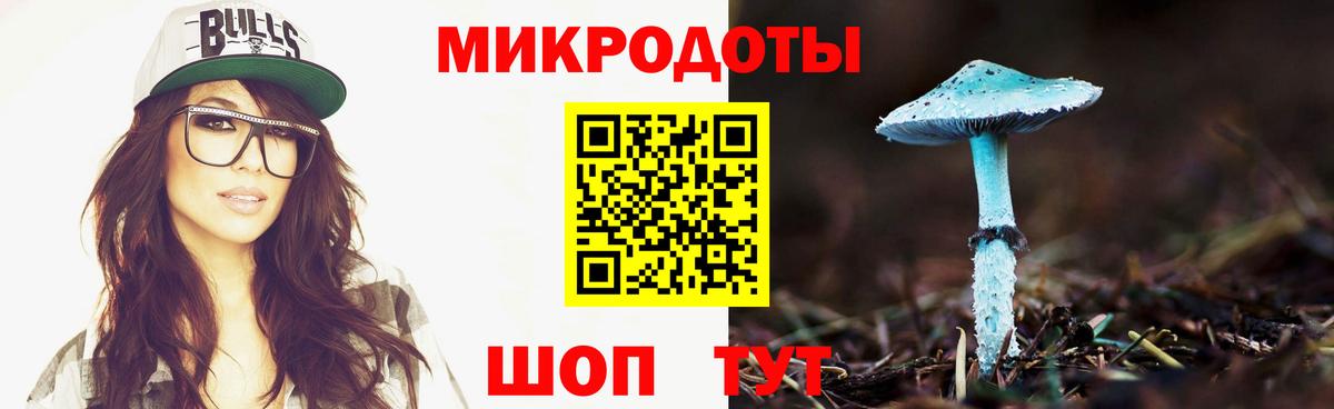 Галлюциногенные грибы Cubensis Буйнакск